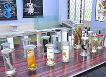 class image
